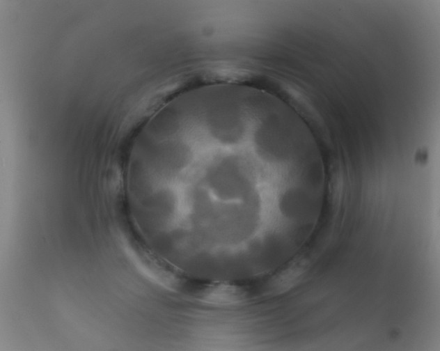 X0000112200459200908141437