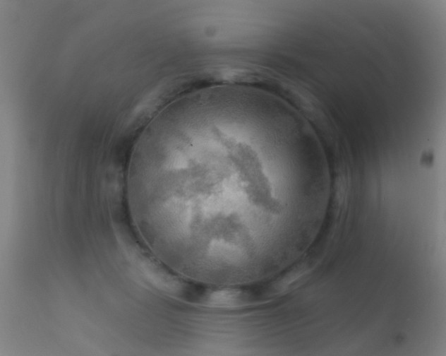 X0000112200461200908141438