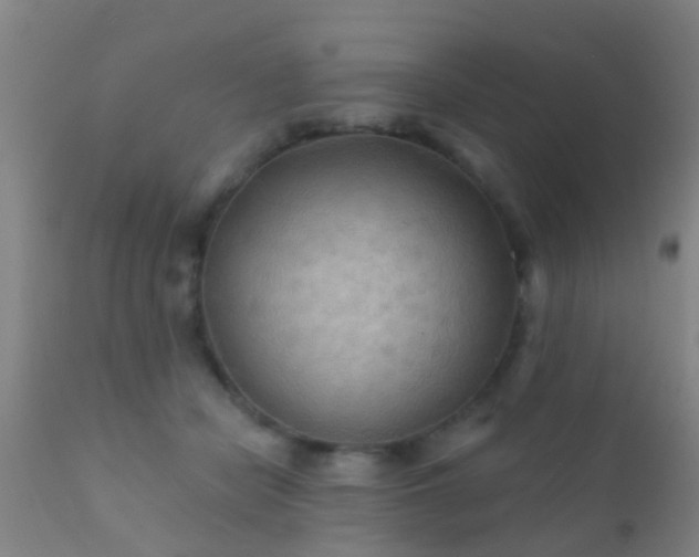 X0000112200462200908141438