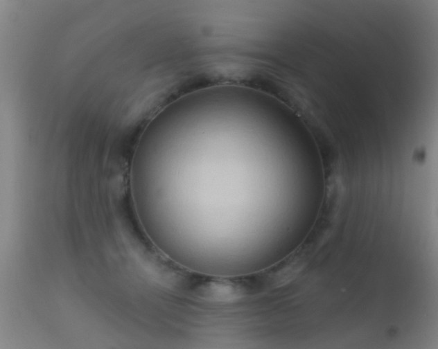 X0000112200464200908141438