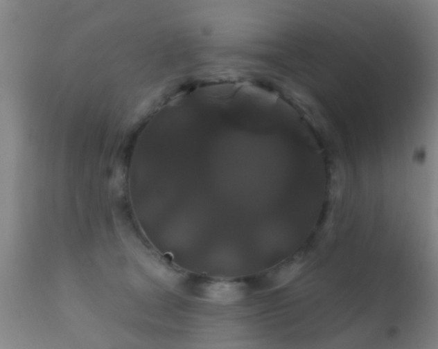 X0000112200465200908141438