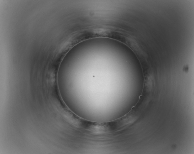 X0000112200466200908141438