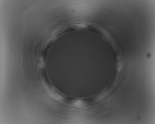 X0000112200467200908141438