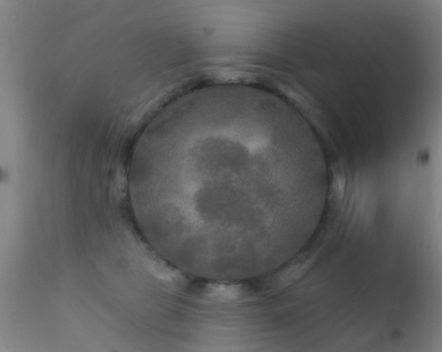 X0000112200469200908141438