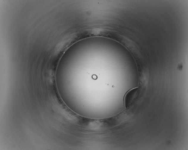 X0000112200470200908141438