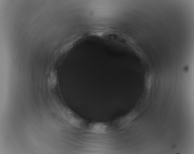 X0000112200471200908141438