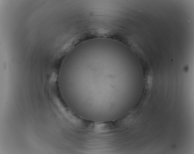 X0000112200472200908141438