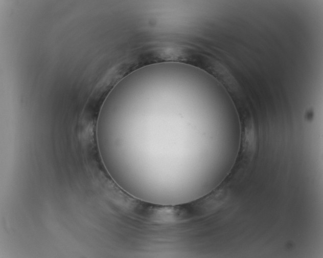 X0000112200473200908141438