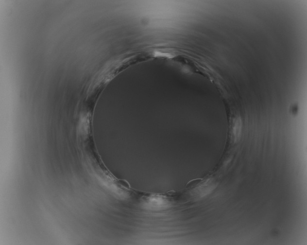 X0000112200475200908141438