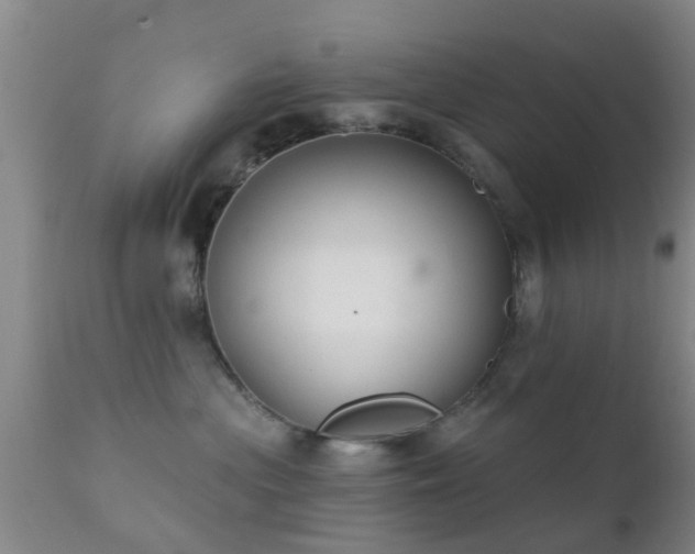 X0000112200477200908141438