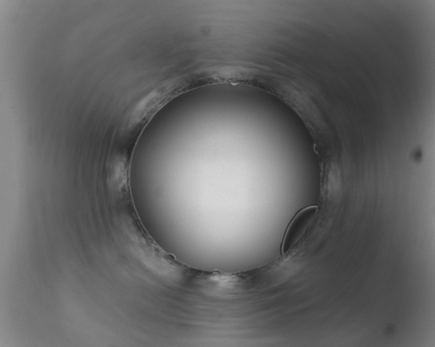 X0000112200478200908141438