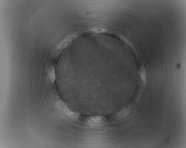 X0000112200479200908141438