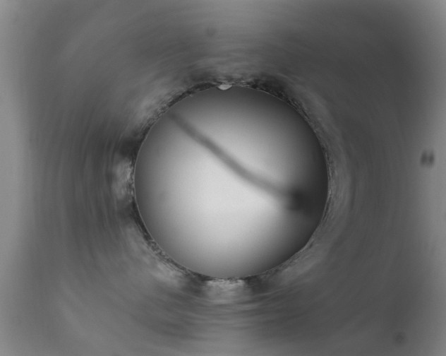 X0000112200480200908141438