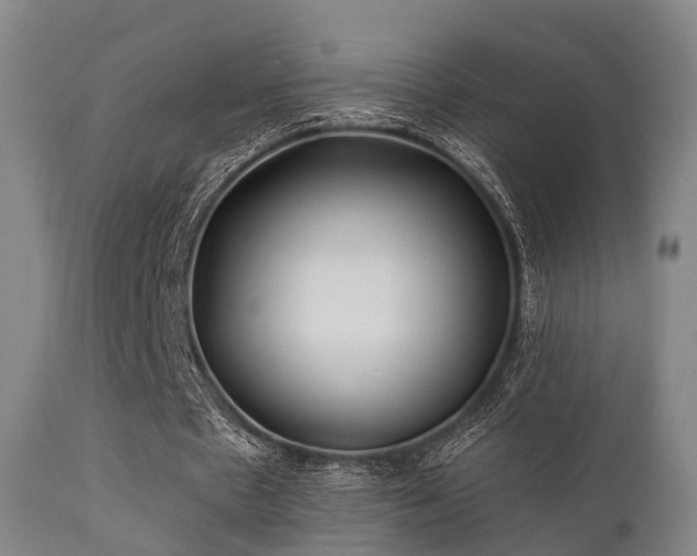 X0000112200481200908141437