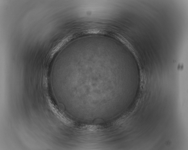 X0000112200482200908141437