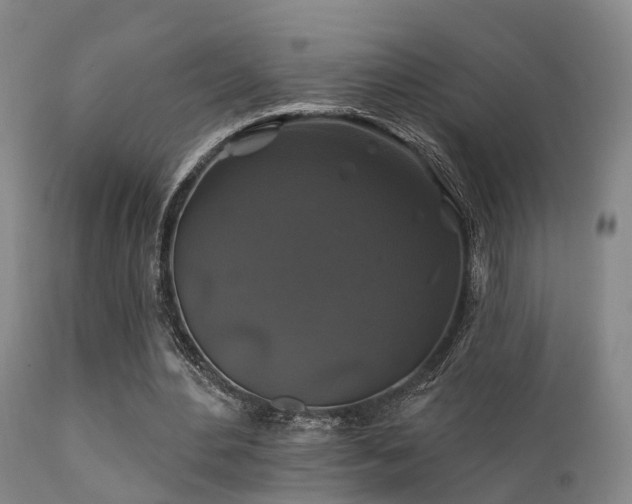 X0000112200484200908141437