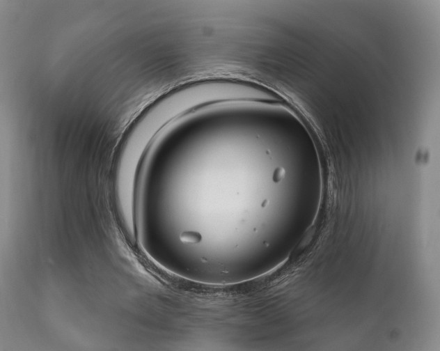 X0000112200485200908141437