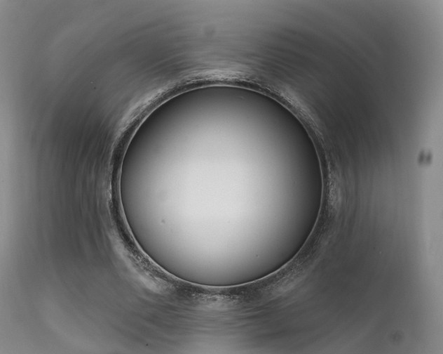 X0000112200486200908141437