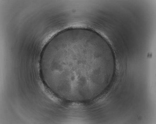 X0000112200487200908141437