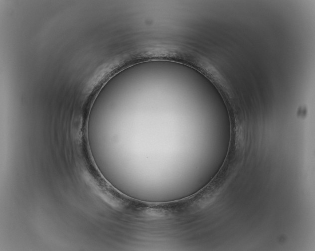 X0000112200490200908141437