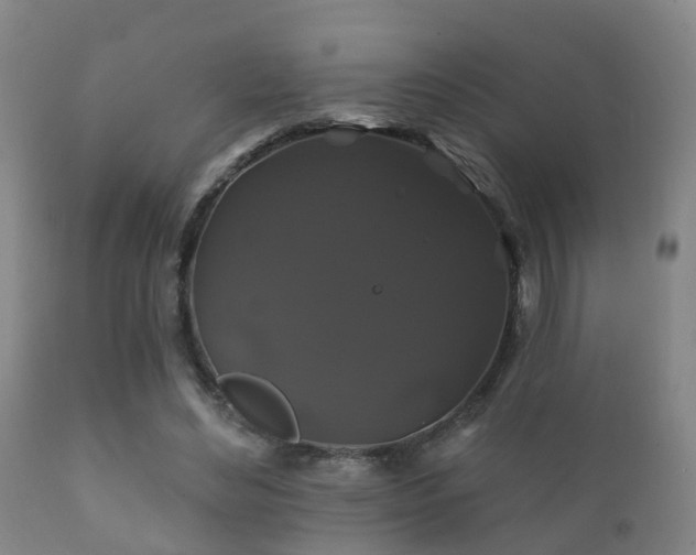 X0000112200492200908141437