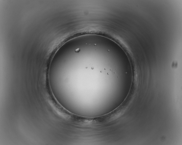 X0000112200493200908141437