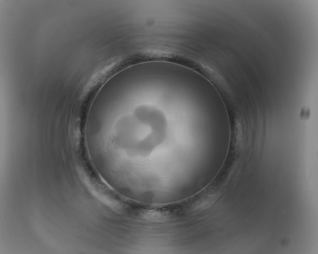 X0000112200494200908141437