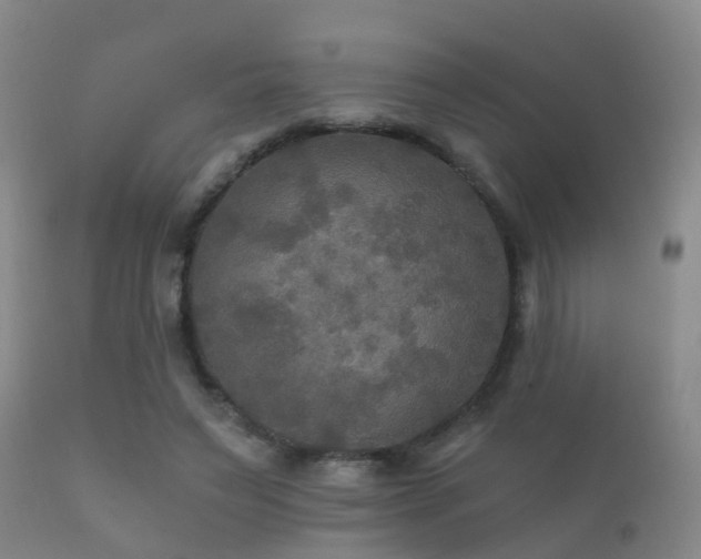 X0000112200495200908141437