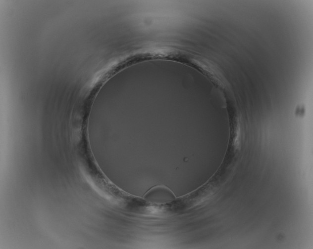 X0000112200496200908141437