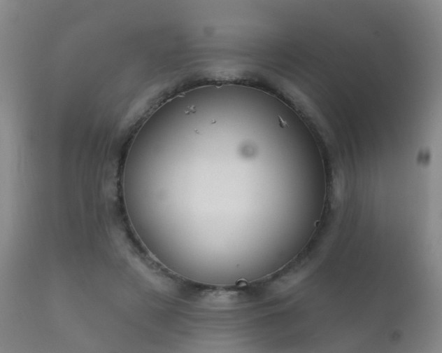 X0000112200497200908141437