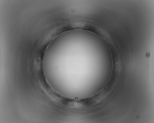 X0000112200498200908141437