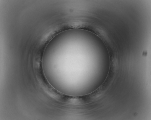 X0000112200499200908141437