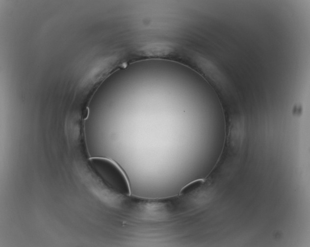 X0000112200501200908141437