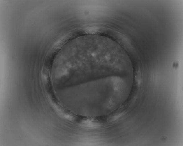 X0000112200503200908141437