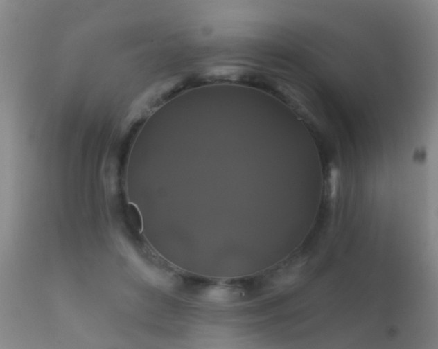 X0000112200504200908141437