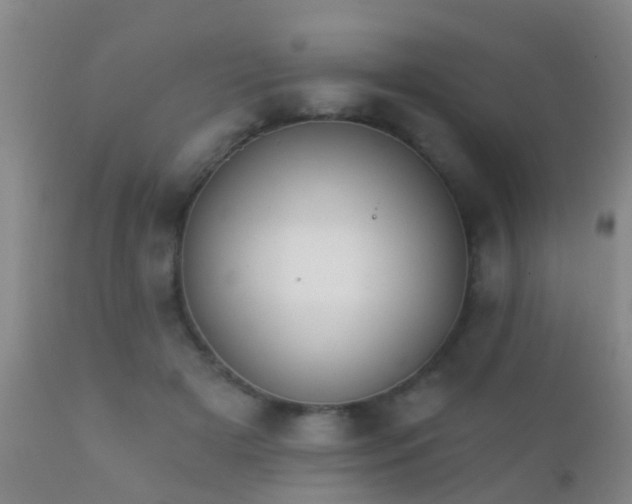 X0000112200505200908141437