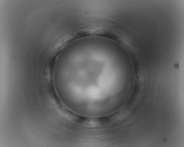 X0000112200506200908141437