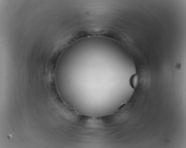 X0000112200515200908141436