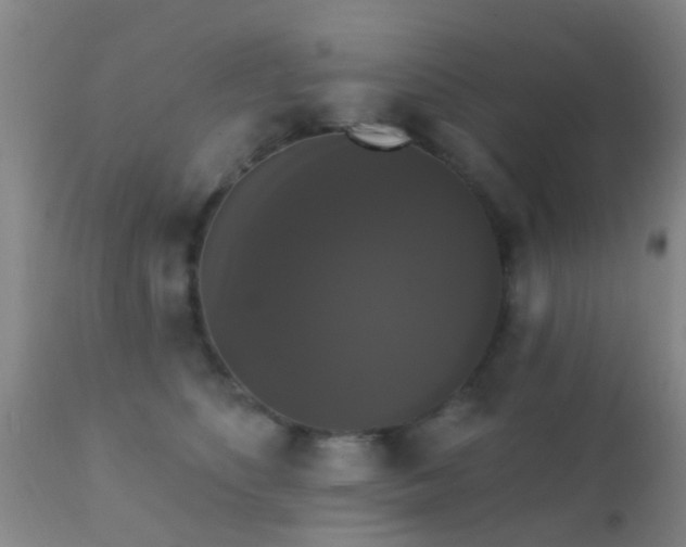 X0000112200516200908141436