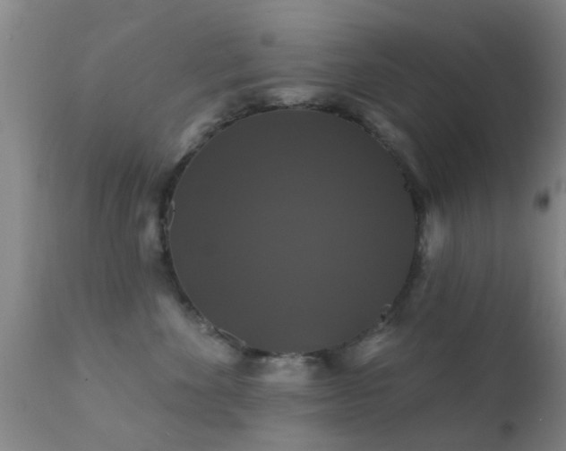 X0000112200524200908141436