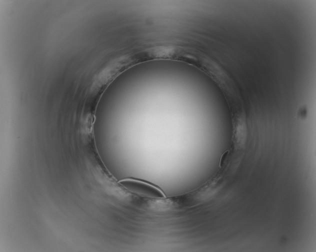 X0000112200525200908141436