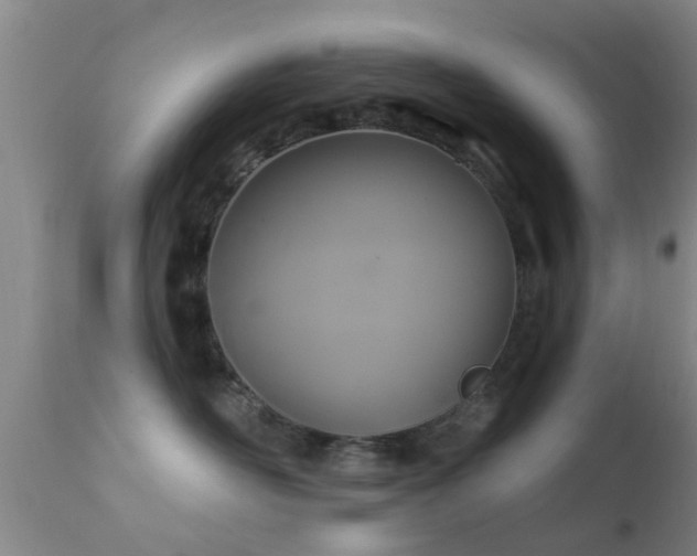 X0000112200526200908141436