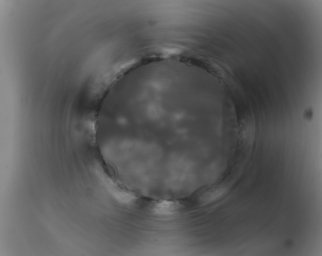 X0000112200527200908141436