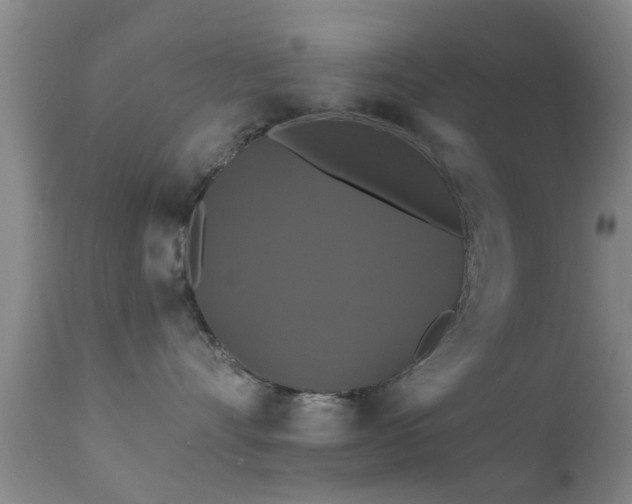 X0000112200528200908141436