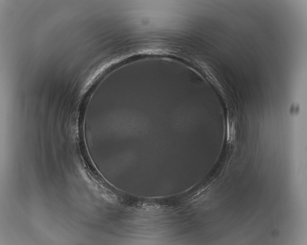 X0000112200531200908141436