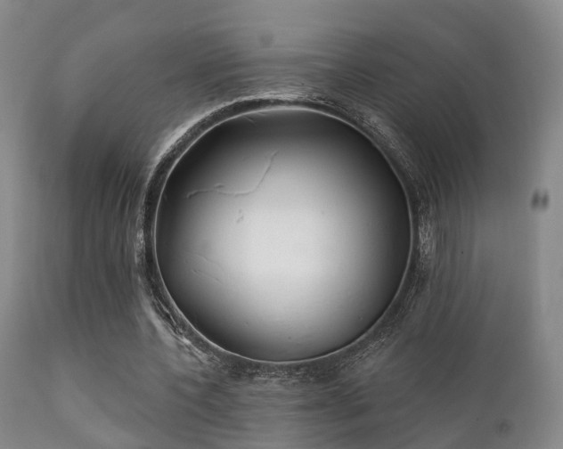 X0000112200532200908141436