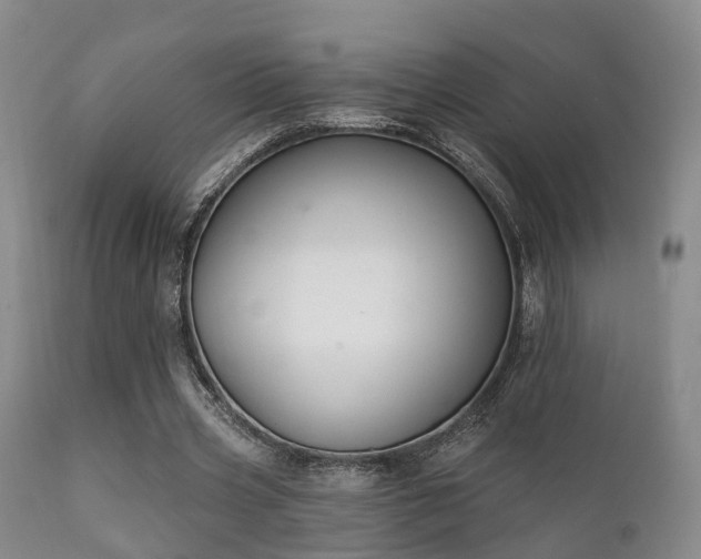 X0000112200533200908141436