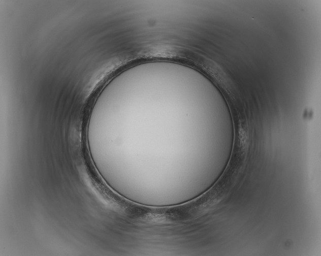 X0000112200534200908141436