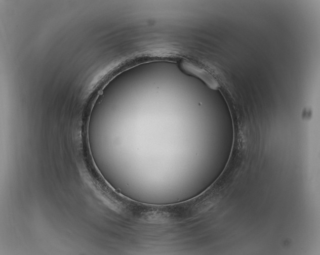 X0000112200535200908141436