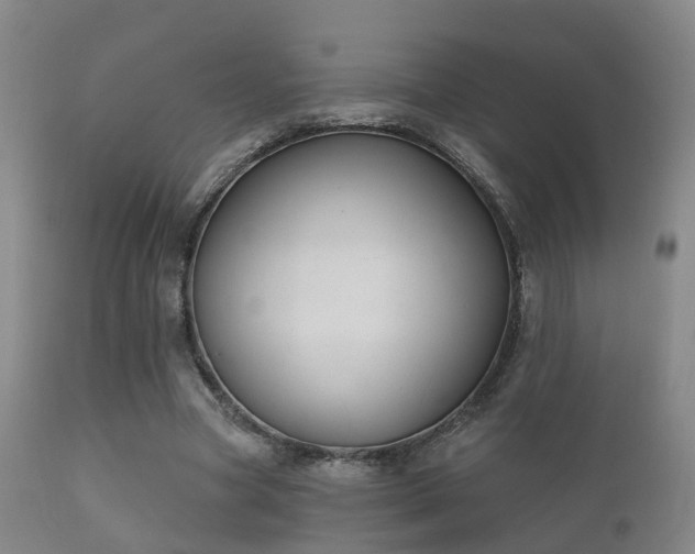 X0000112200537200908141436